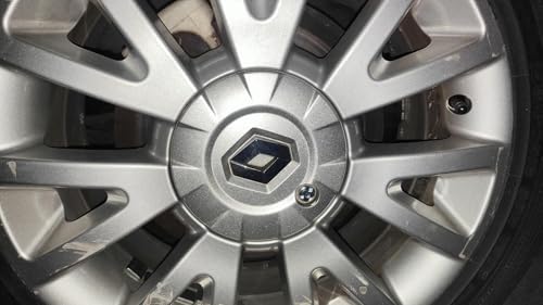 Twowinds Radkappe Schlüssel Kompatibel mit Renault Clio Espace Kangoo Megane Opel 7700422600 Diebstahlsicherung Sicherheit