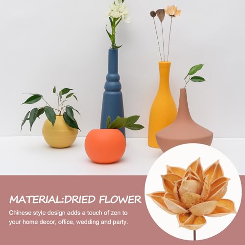 Arreglo de Flor de Loto Seco con Tallos para Decoración miniatura 4