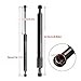 Car Rear Trunk Tail Gate Supports Strut Rod Arm Shocks Compatible With Dodge RAM 1500 2500 3500 Pickup 2009-2018