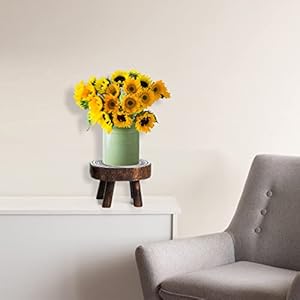 Topzeasetof2miniwoodenstooldisplaystandwoodriserforbonsaiflowerpotsmallpottedplantstandsroundrusticplanterstoolspedestalrisersforgardenpatiohome Urban Country Home Decor Topzea set of 2 mini wooden stool display stand wood riser for bonsai flower pot small potted plant stands round rustic planter stools pedestal risers for garden patio home urban country home decor