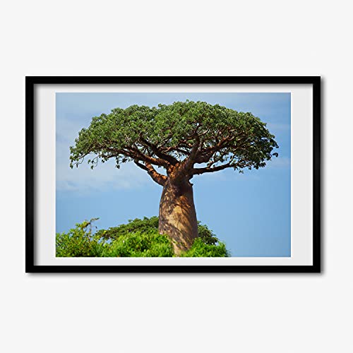 Cadre photo 60x40 cm Tulup en bois avec affiche de Baobab