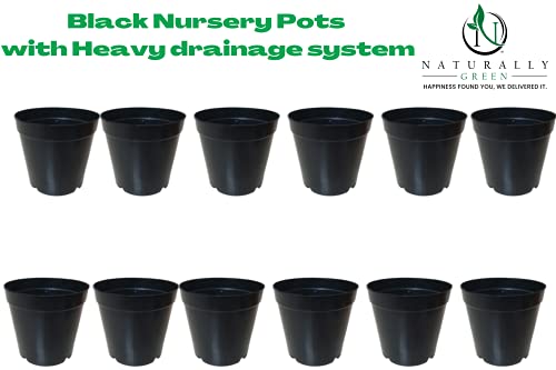 Image of Naturally Green Unique Drainage System Nursery Pots with Multi Holes for Balcony Terrace Plants Pack of (4 inch, 20)