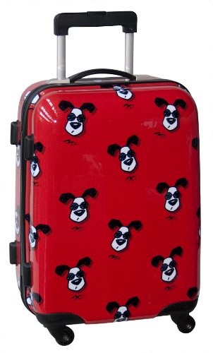 cool looking luggage