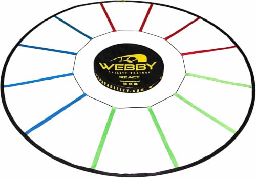 Webby React Agility Trainer