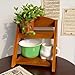 UPQRSG Wood Desk Organizer, Retro Aesthetic Office Storage Rack Home Decor Organizer, Wood Display Shelf 2 Layer for Books Plants Cosmetics Folders Stationary