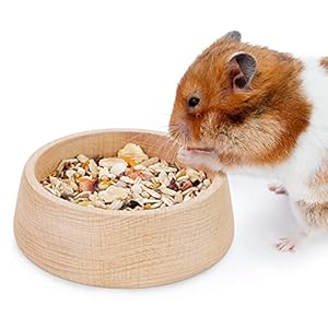 Niteangel Wooden Hamster Feeding Bowl – Small Animal Food Dish for Dwarf Syrian Hamsters Gerbils Mice Degus or Other Similar-Sized Small Pets (Hammy Pattern, for Syrian)