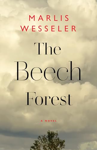 The Beech Forest view 2