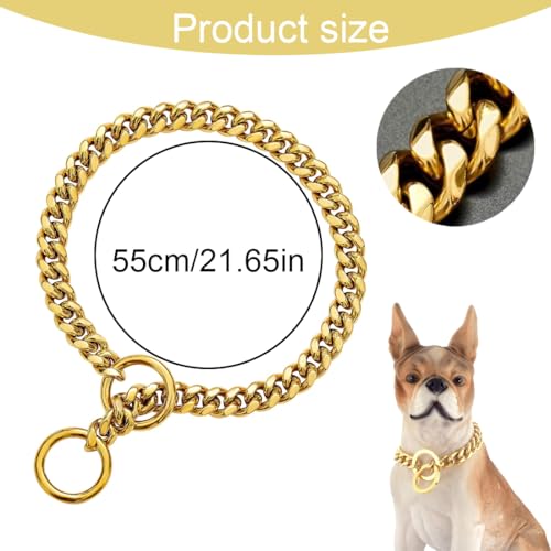 Goldenes Hundehalsband aus Metall mit sicherem Schnallendesign, für Haustiere verstellbar mit Verlängerungskette für kleine Hunde und Haustiere, Gold, L 60 cm