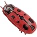 JUSTDOLIFE Gattino Gioca Giocattolo Ladybird Automatico Automatico Plastica Cat Cat Interattivo Giocattolo Giocattolo Giocattolo Per Il Giocattolo Per Il Divertimento Indoor Per Interni Picc