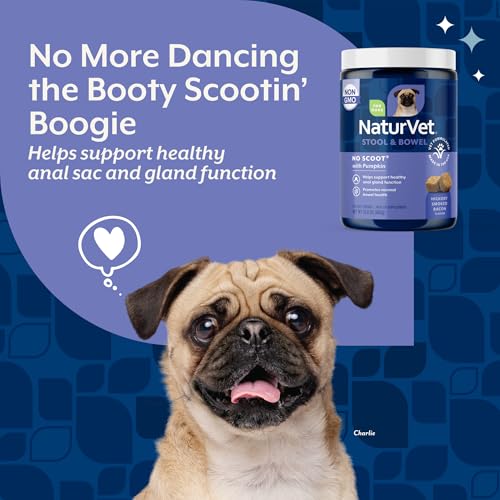 NaturVet - No Scoot for Dogs - 120 Soft Chews - Plus Pumpkin - Supports Healthy Anal Gland & Bowel Function - Enhanced with Beet Pulp, Flaxseed & Psyllium Husk