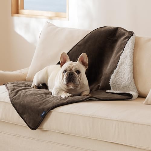 Image of Bedsure Waterproof Dog Blankets for Medium Dogs - Medium Cat Blanket Washable for Couch Protection, Sherpa Fleece Puppy Blanket, Soft Plush Reversible Throw Furniture Protector, 30 inchX40 inch, Coffee Brown