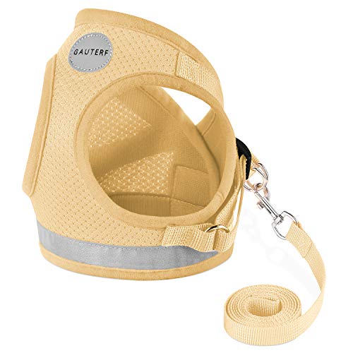 19 Best Rabbit Harness in 2020 (Reviews & Guides)