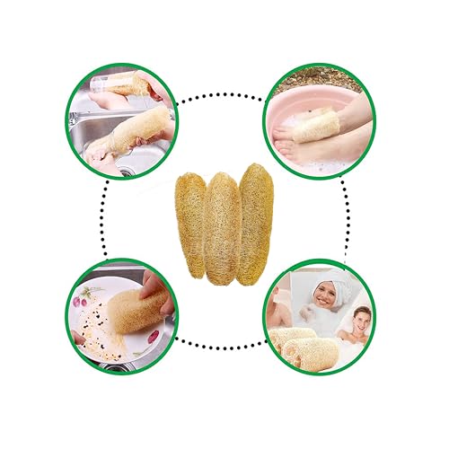 Image of Natural Loofah Sponge Body Scrubber 1 Piece - Luffa Bath scrub is Body Cleansing Removing Dead Skin Cells and Revitalizing Softer New Skin - Peerkangai Naar (Big Size)
