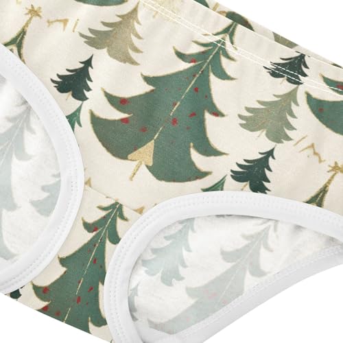 Girls' Panties Organic Underwear for Young Girls Winter in Sizes 2T,3T, 4T, 5T, 6Y and 8Y4