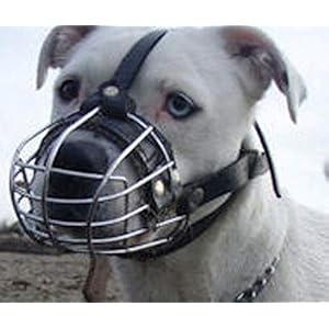 Strong Metal Wire Basket Muzzle for Amstaff & Pitbull and other dogs (Silver Basket / Black Leather, R1)