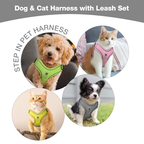 Feycig Hundegeschirr Kleine Hunde, Anti Zug Einstellbar Reflektierend Geschirr, Atmungsaktiv Weiches aus Mesh Geschirr Hund Leichtes Welpengeschirr Brustgeschirr mit Griff (Grau, X-Small)