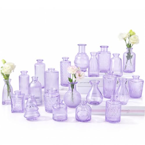 RUCKAE Glass Bud Vases Mini Flower Vase Small...