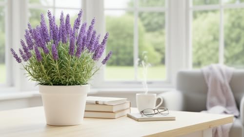 Image of Lavender Live Aromatic Plant with Purple Blooms for Garden Indoor Outdoor Balcony Terrace | Healthy Plant for Natural Fragrance, Relaxation and Greenery Enhancement (Pack of 2)