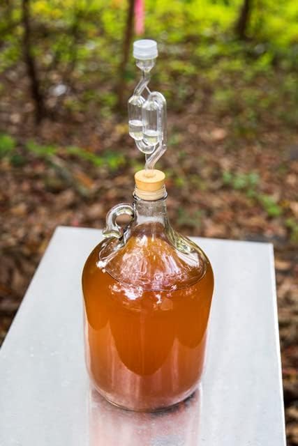 Mead Making Kit – Complete Honey Wine Brewing Kit with Reusable Equipment, Glass Fermenter, Airlock & Yeast – DIY Homebrew Kit for Beginners & Experts- This Mead Kit Makes 1 Gallon of Mead. Must Bee