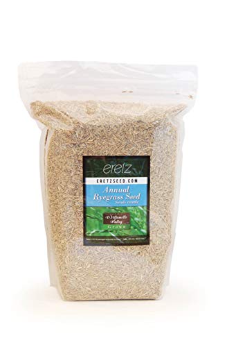 Annual RyeGrass Seed by Eretz - Willamette Valley