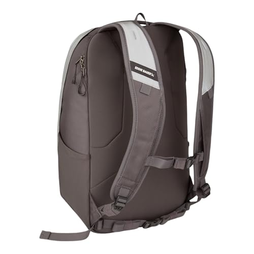 Eddie Bauer High Beam Backpack | Travel | Daypack | Commuter | Laptop Sleeve | Reflective | Outdoor | 30L Volume | Silver4