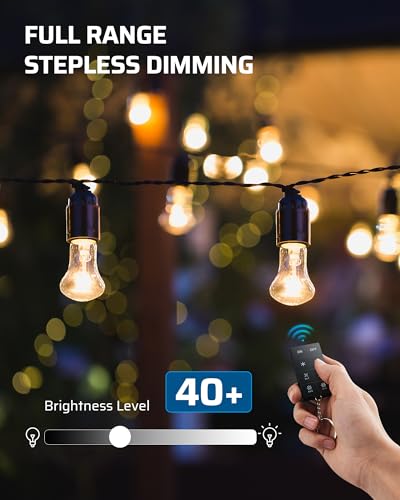 Dewenwils HORD01C1 Outdoor Dimmer For String Lights thumb #2