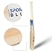 Sports Blue English Willow Cricket Bat | Grade 1 Cricket bat | 9+ Straight Grains with 38mm+ Edges | Ready to Play with oiling and Knocking (2.13, Pounds)