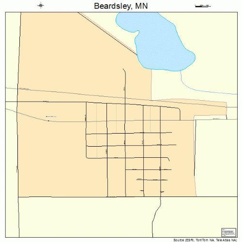 Large Street & Road Map of Beardsley, Minnesota MN Printed poster