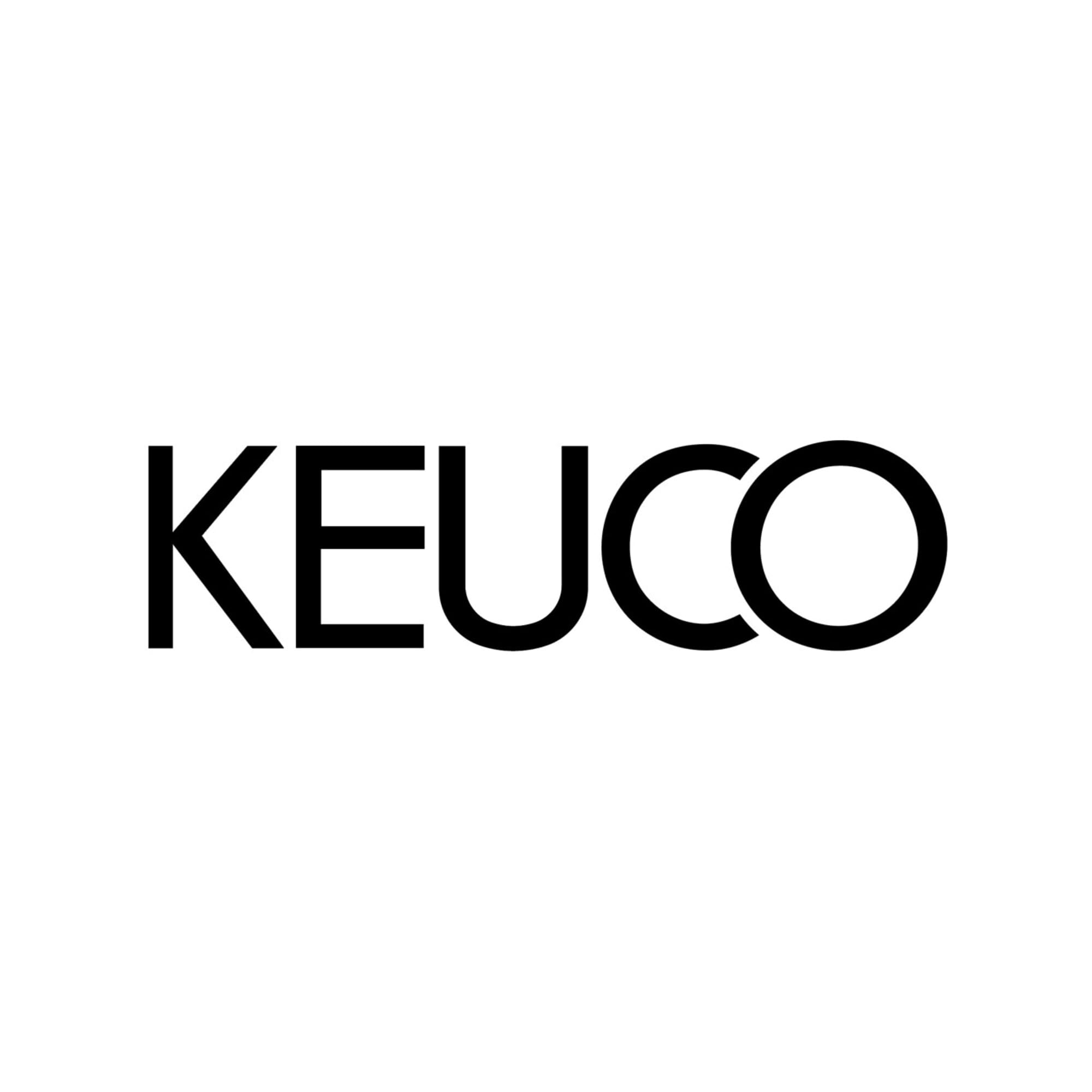 KEUCO PLAN Toilettenpapierhalter, offene Form, schwenkbar, rechts, 14962070000, Farbe: Edelstahl