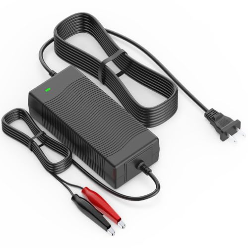 IOKOFJOA LiFePO4 Battery 14.6V Charger for 12V/12.8V, Trickle Charger for Lithium Iron Phosphate Battery, Built-in Safety Protections, Support Fast Charging