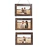 5×7 wall hanging picture frames collage with 3 opening rustic brown frames  urban country home decor