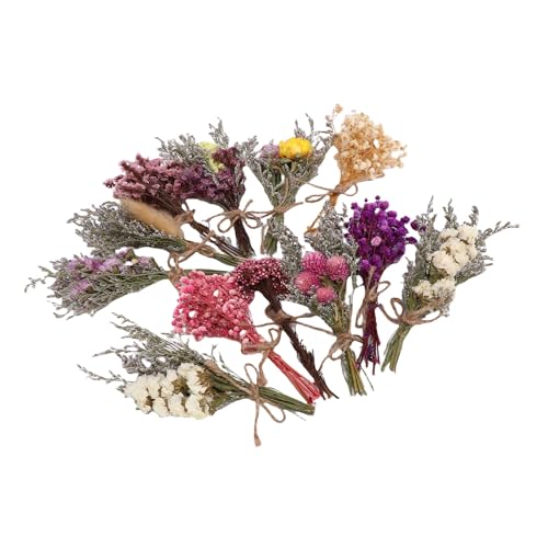 Ramo de flores secas MAVIS LAVEN, pack 12 piezas miniatura 5