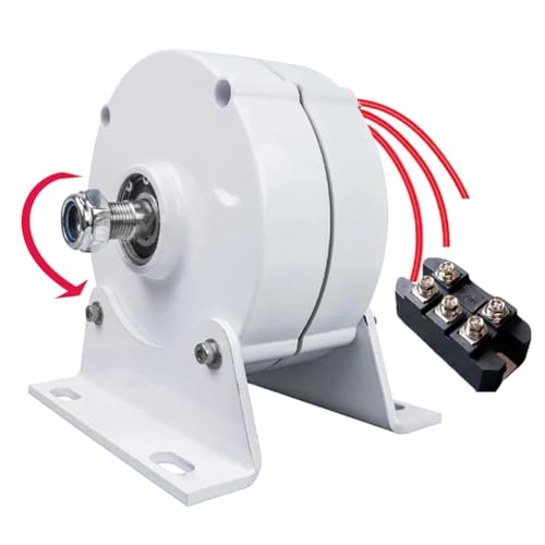 Kit generatore di Corrente alternata per turbina eolica Orizzontale con regolatore di Carica, alternatore trifase Senza Ingranaggi da 12000 W - Kit generatore di energia eolica Fai-da-Te 220