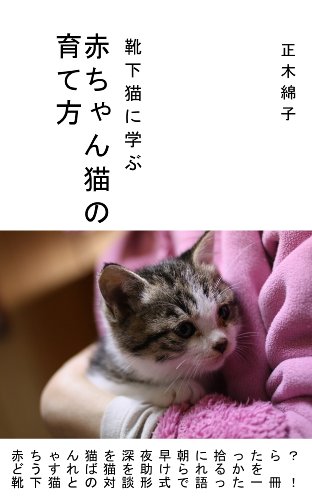靴下猫に学ぶ赤ちゃん猫の育て方