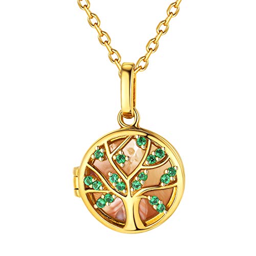 Collier Photo Personnalisé en Argent 925, Pendentif Coeur Finition Or Éclatante