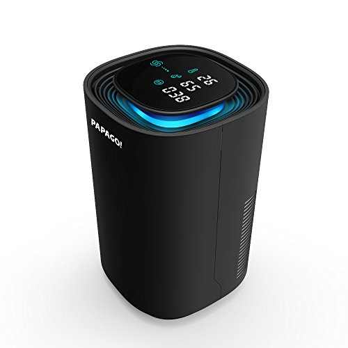 PAPAGO! S10DUS Air Purifier, Black