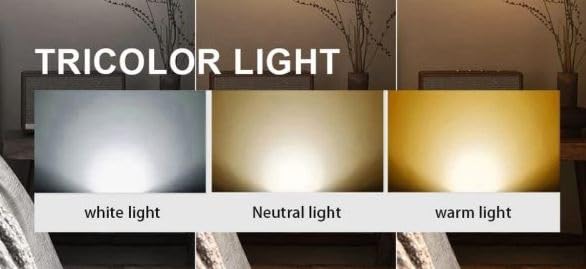 Image of Modern LED Wall Light for Living Room | Luxury Decorative Wall Lamp for Bedroom & Hallway (Pack of 1)