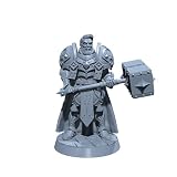 Generic Gareth Lightbringer | Sir Warrick | Human Male Paladin or Cleric Miniature for Tabletop Games Like D&D and War Gaming| Dungeons and Dragons Mini Arid Base, Gray, 04LV0307-3
