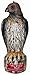 Bird B Gone MMRTH1 Decoy Hawk - Quantity 6