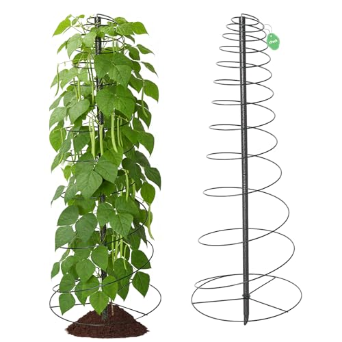 Trellis for Climbing Plants 75 Metal Spiral Frame Pea Trellis with Center Pole Adjustable Vine Plant Tower Supports for Outdoor Beans Cucumbers Vegetable Flowers Pots Garden Raised Bed 12 Dia