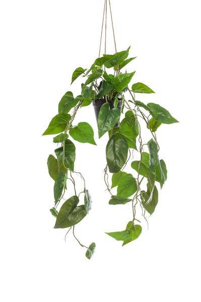 Plante artificielle à suspendre Philodendron 80 cm fausse plante verte