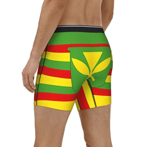 Native Hawaiian Flag Men's boxer briefs, high-elastic, breathable fabric, multiple sizes (S-2XL)4