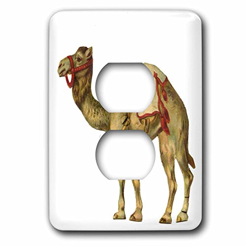 Circus Cache-sortie Camel pour masquer les fils électriques apparents - 3