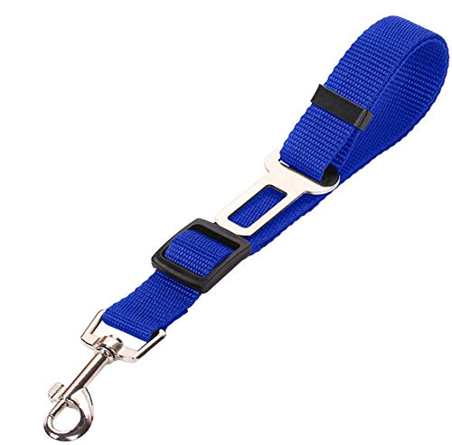 Ceinture de sécurité pour Voiture adaptée à Tous Les Chats et Chiens