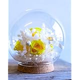 フローリストせきど プリザーブドフラワー 枯れない花 ローズシュシュ 総理大臣賞受賞デザイナー監修 フラワーギフト バラ プレゼント ギフト 誕生日祝い 結婚記念日 プレゼント 母の日 人気 入学 卒業 お見舞い (ミモザイエロー, M)