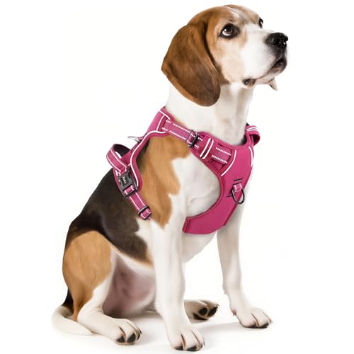 Image of HEELE Dog Harness for Medium Dogs No Pull Dog Vest Harness with Soft Padded Handle Reflective for Outdoor Training, Rose(Matching Trim), M
