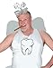 Tooth Fairy Plus Size Costume
