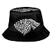 Chapeau d'hiver chaud en peluche Game of Thrones Fire and Blood pour femmes, adolescentes et filles