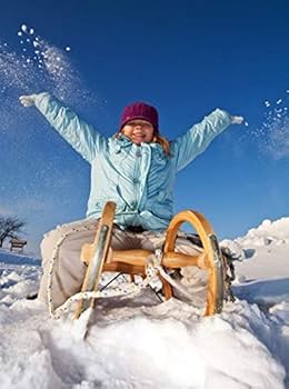 Amazon.co.jp: 雪そり 木製 雪そり 冬のそり スノーモービル