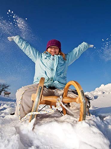 Amazon | そり 木の雪そりの冬のスノーモービルの伝統的な折りたたみ式